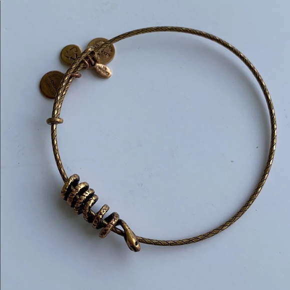 Alex and Ani Jewelry Alex And Ani Snake Bracelet Poshmark